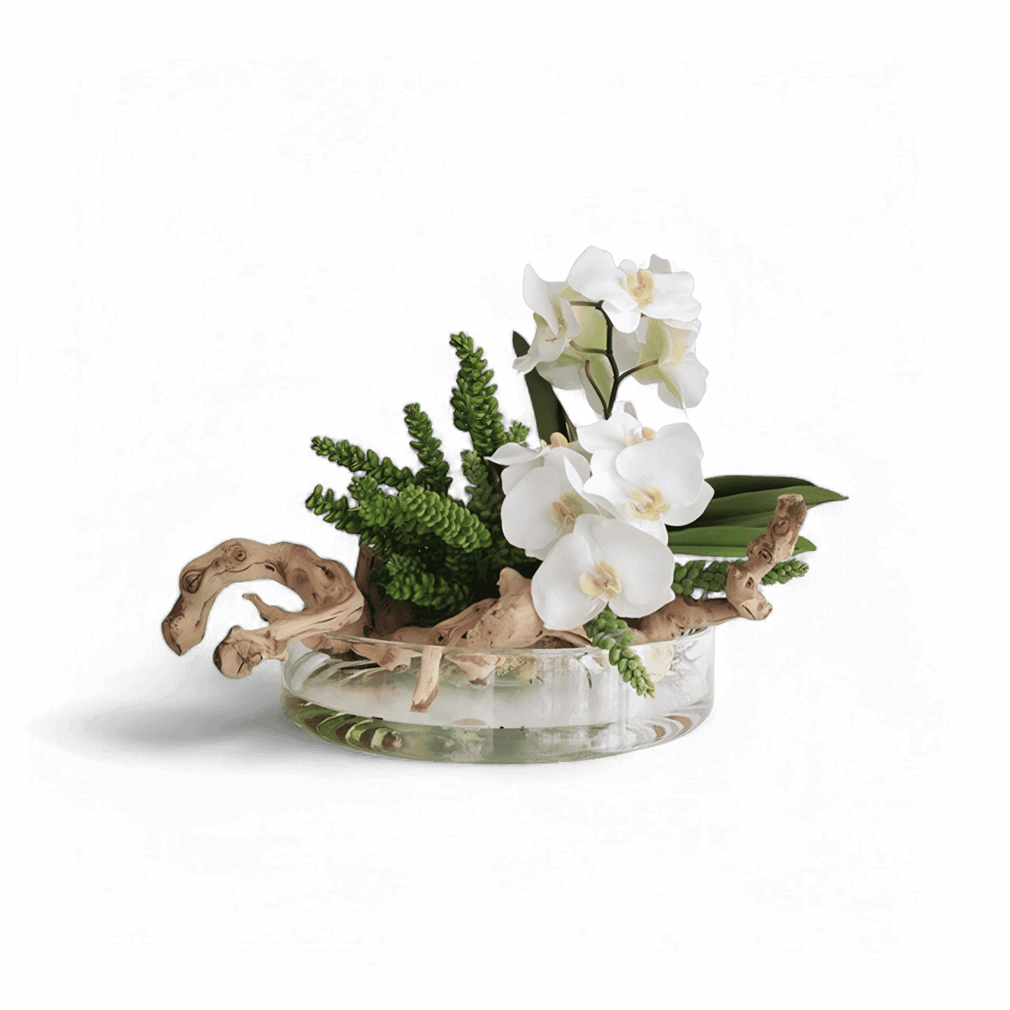 16 Orchidées en vase Heritage et bois blanc