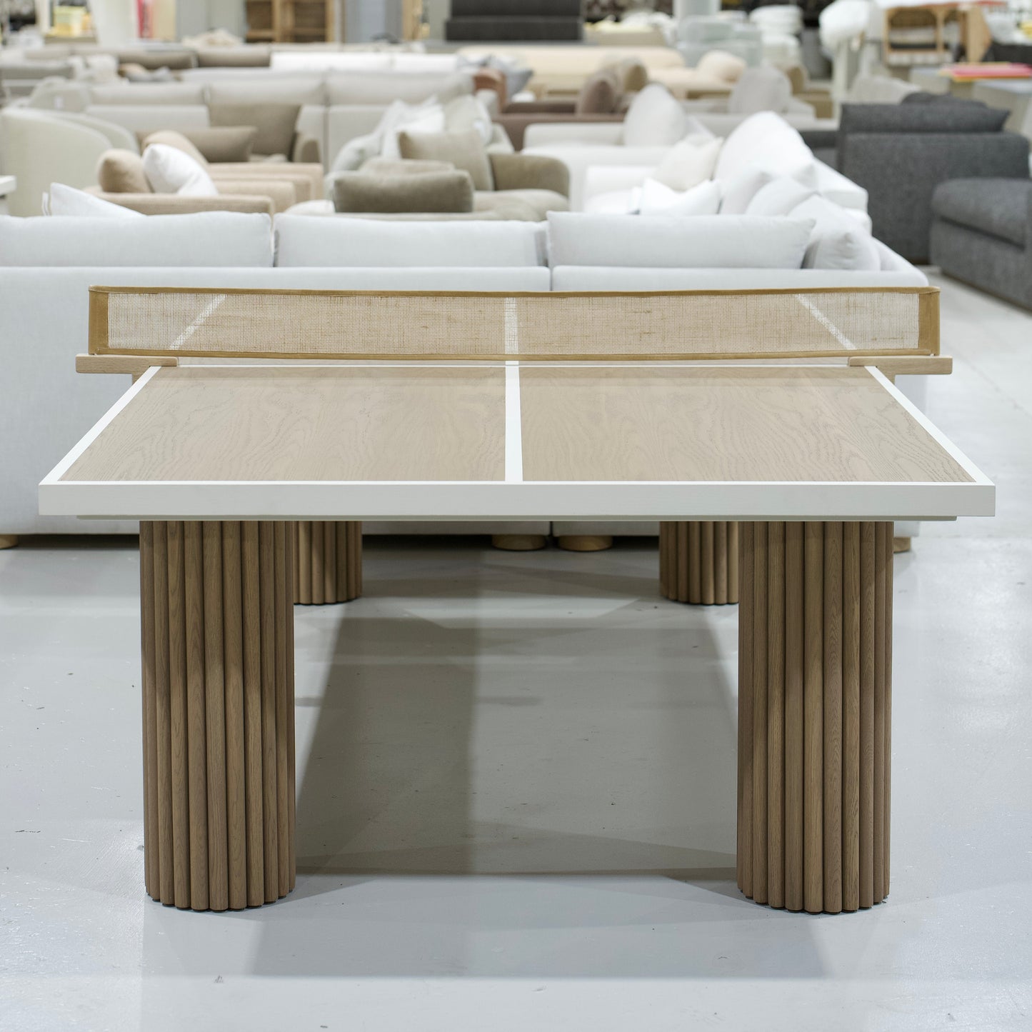 Sadie Ping Pong Table