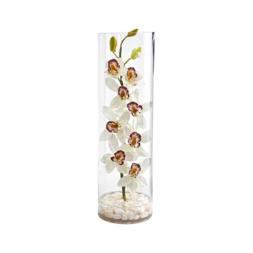 Orchidée à colonne dorée