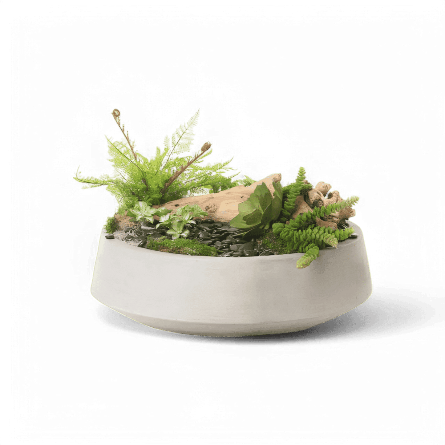 Arrangement 21 Bliss