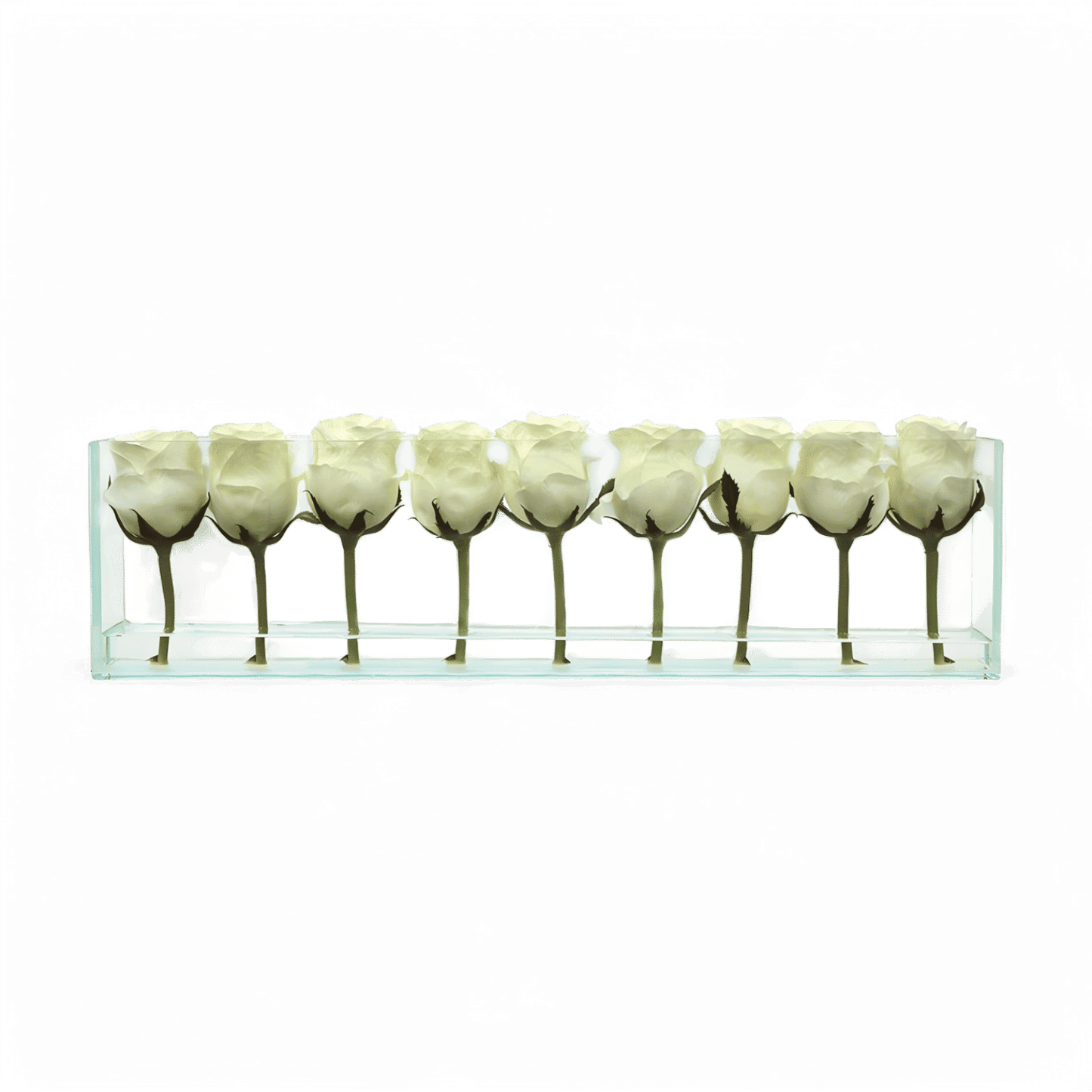 24 roses avec vase encastré blanc