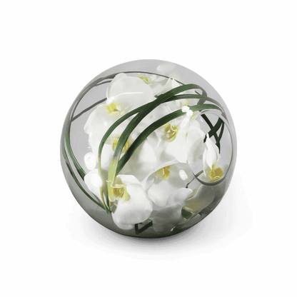 12 Orchidées en bol avec herbe blanche