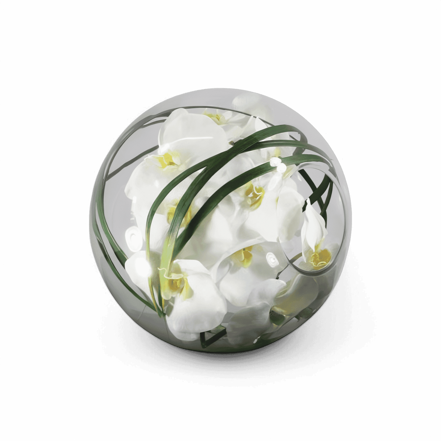 12 Orchidées en bol avec herbe blanche