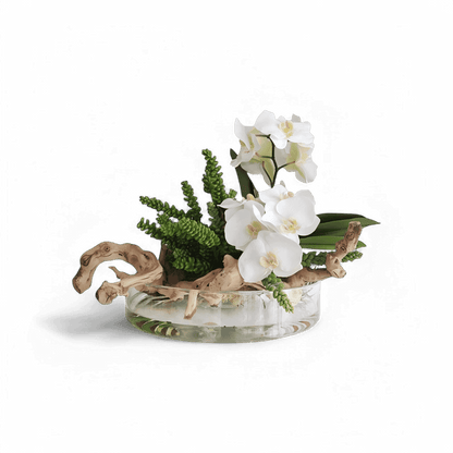 Vase Héritage Succulentes et Bois