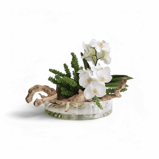 16 Orchidées en vase Heritage et bois blanc