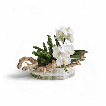 16 Orchidées en vase Heritage et bois blanc