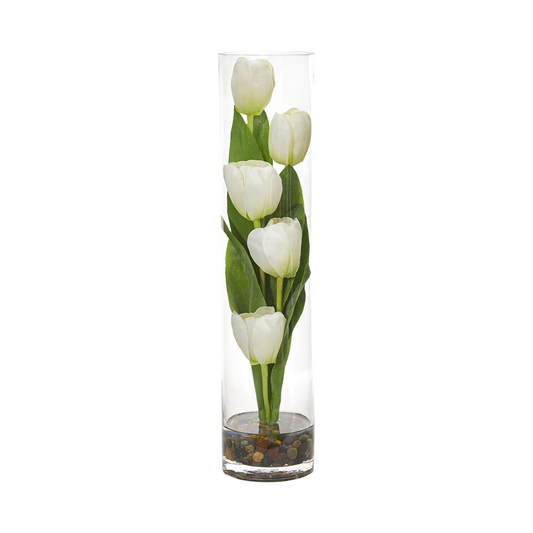 18 Tulipe Sonata Blanche