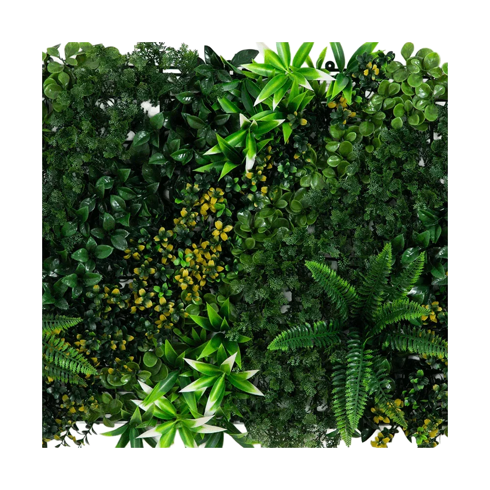 20 x 40 Horizon tropical