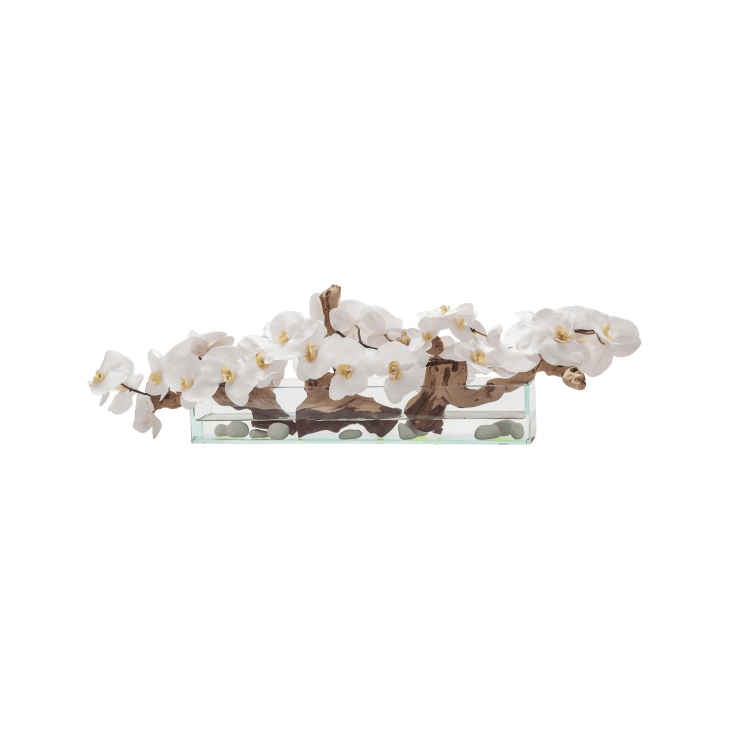 Orchidée blanche 24''