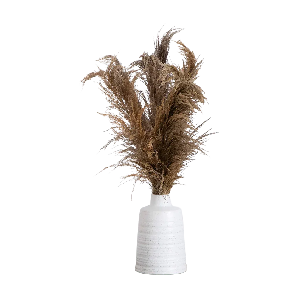 30 Desert Whisper - Pampas naturelles séchées dans un vase en céramique