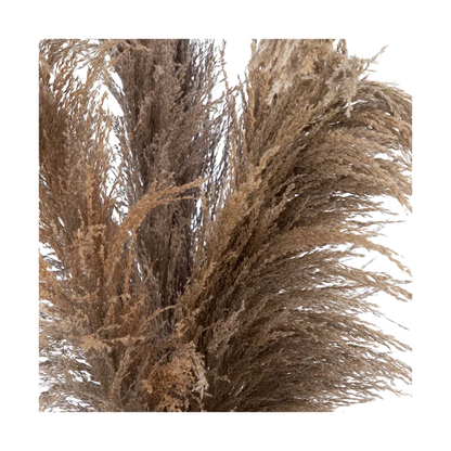 30 Desert Whisper - Pampas naturelles séchées dans un vase en céramique