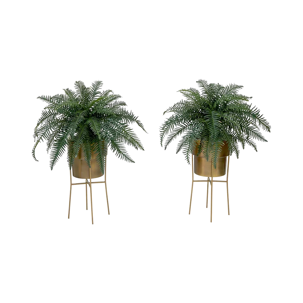 Kit de bricolage Verdant Duo avec support (lot de 2)