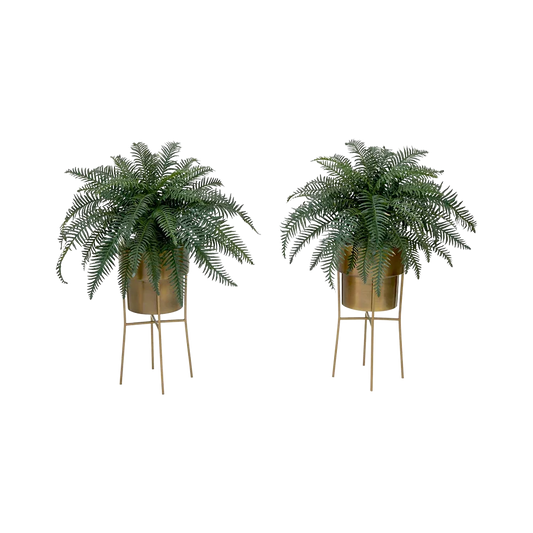 Kit de bricolage Verdant Duo avec support (lot de 2)