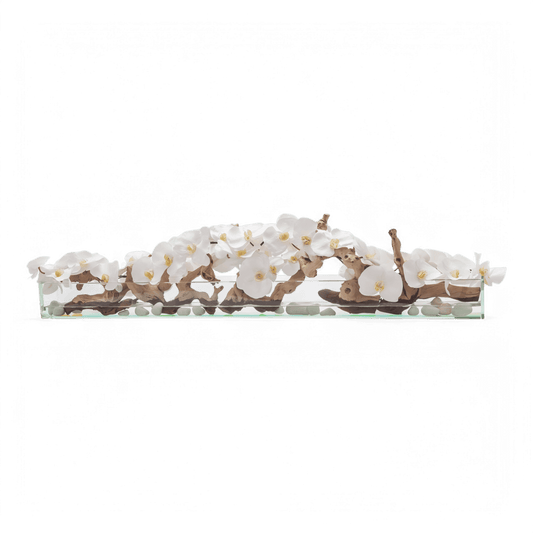 48 Orchidée blanche