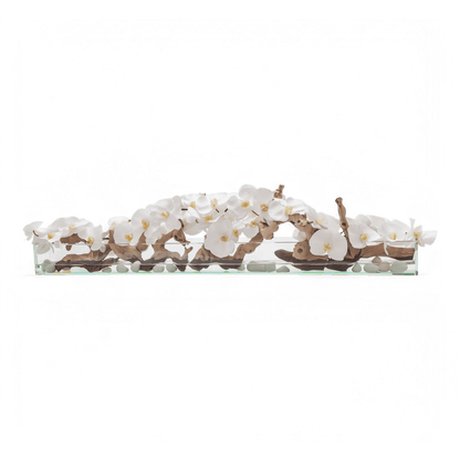 48 Orchidée blanche