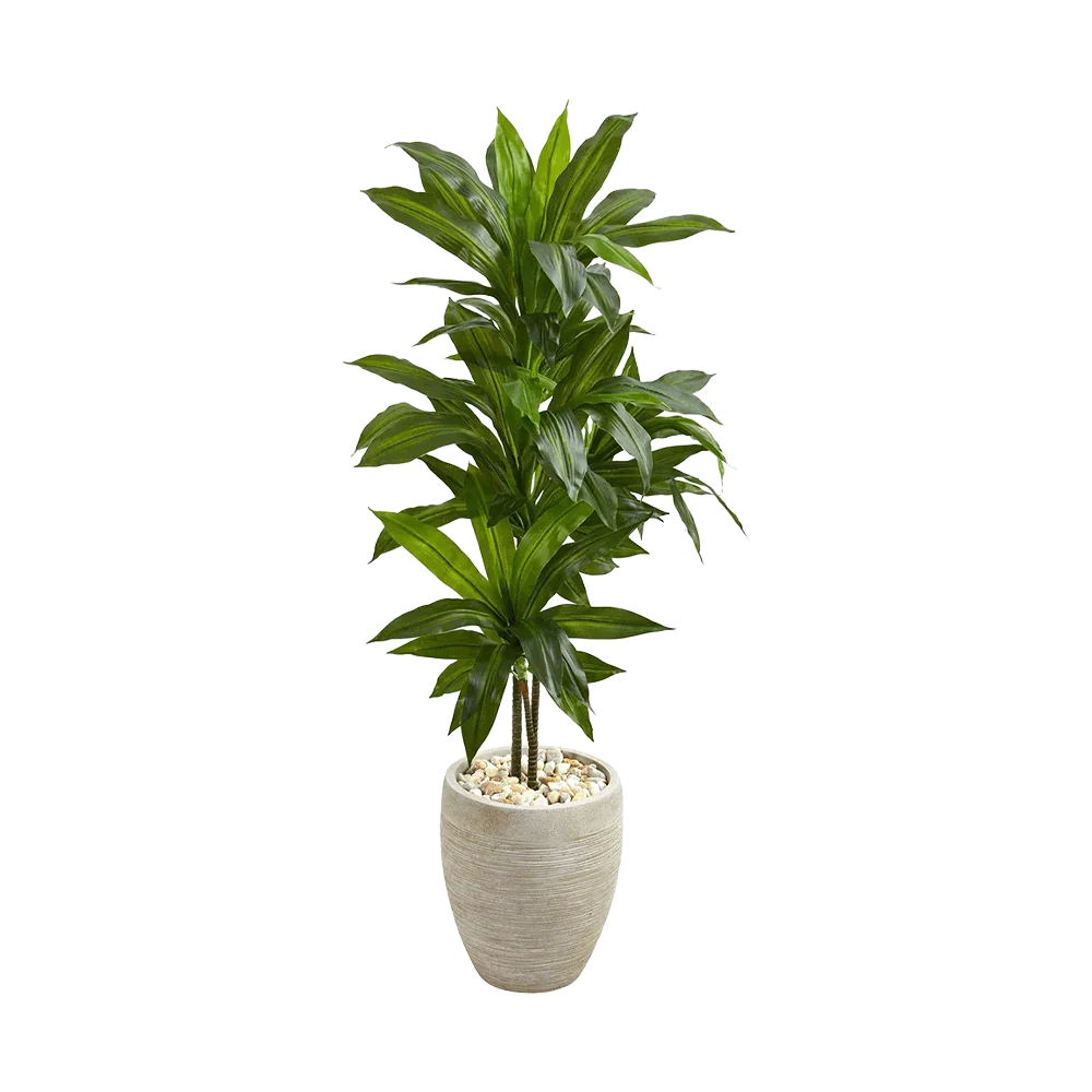 Dracaena en argile Verdana de 1,20 m avec jardinière couleur sable