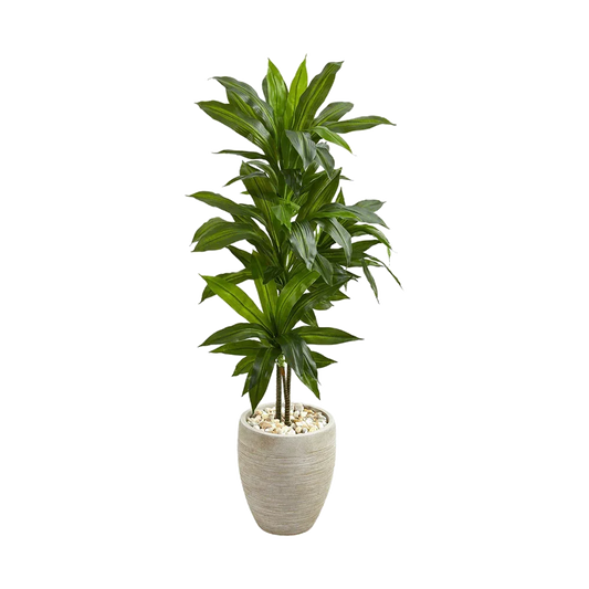 Dracaena en argile Verdana de 1,20 m avec jardinière couleur sable