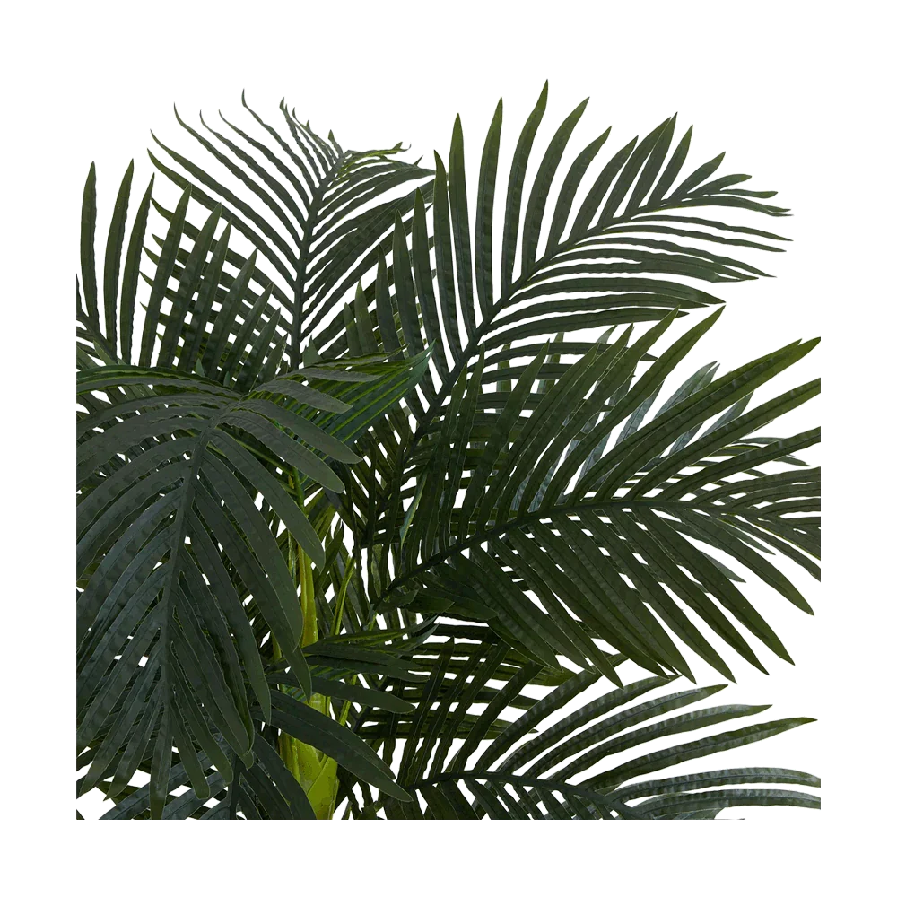 Palmier Suncrest de 6,5 pieds