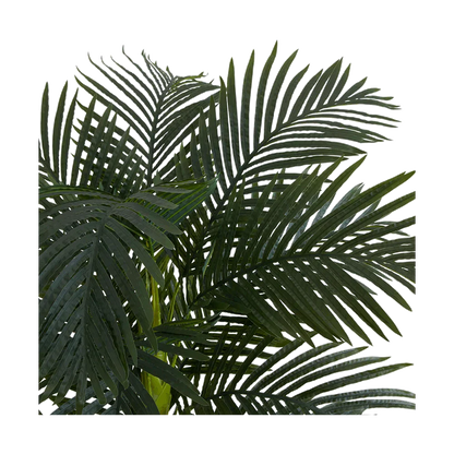 Palmier Suncrest de 6,5 pieds