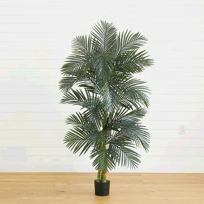 Palmier Suncrest de 6,5 pieds