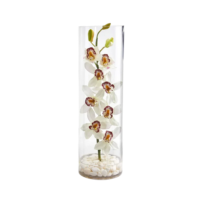 Orchidée à colonne dorée