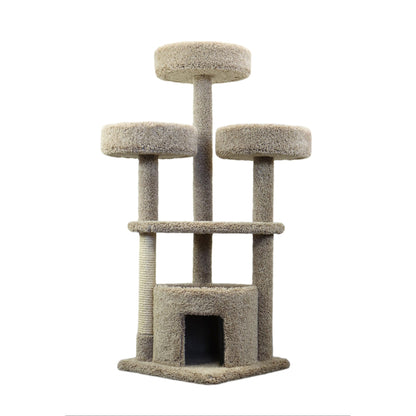 Nouveaux condos pour chats Grande maison pour chats