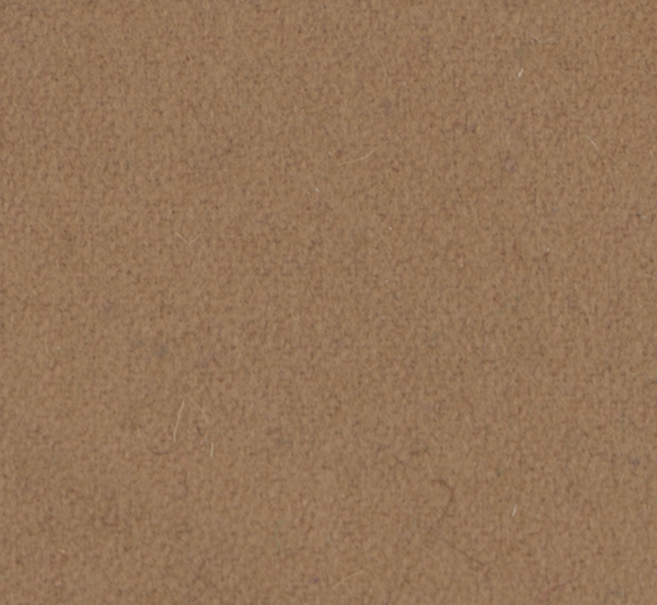 Camel (Felt)