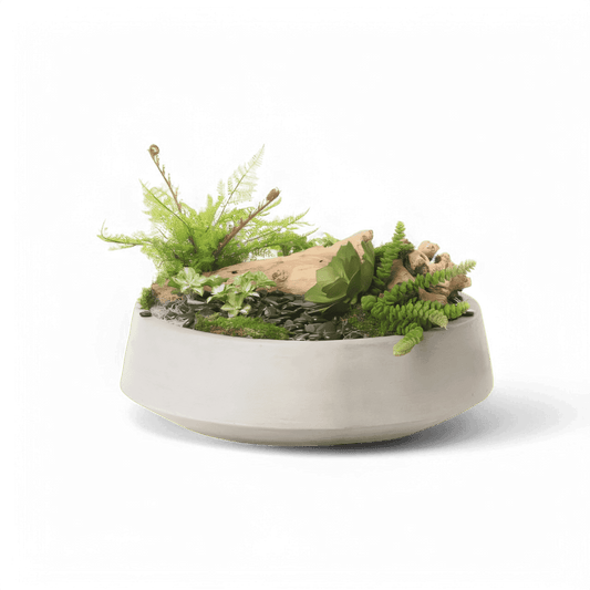 Arrangement 21 Bliss