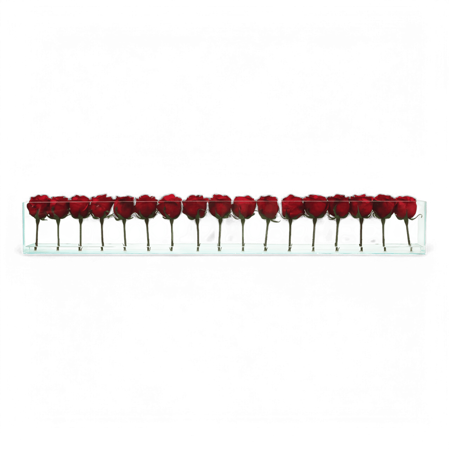 48 roses avec vase affleurant rouge