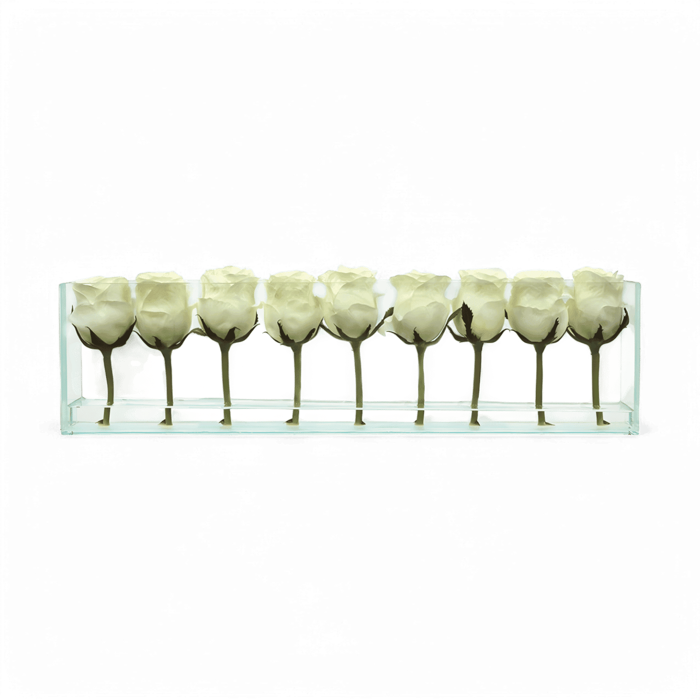 24 roses avec vase encastré blanc