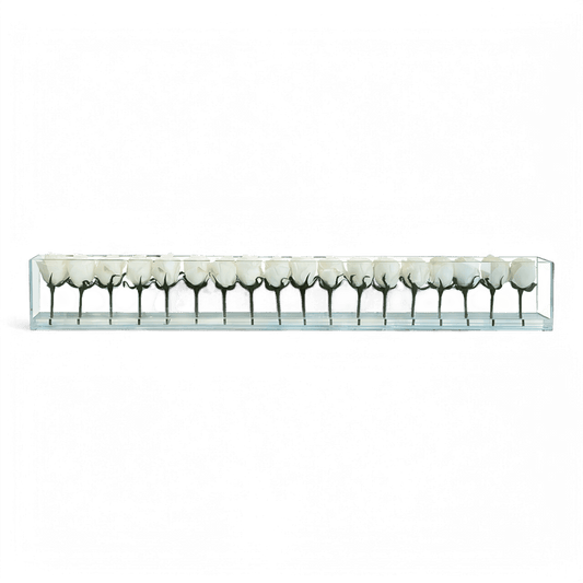 48 roses avec vase blanc