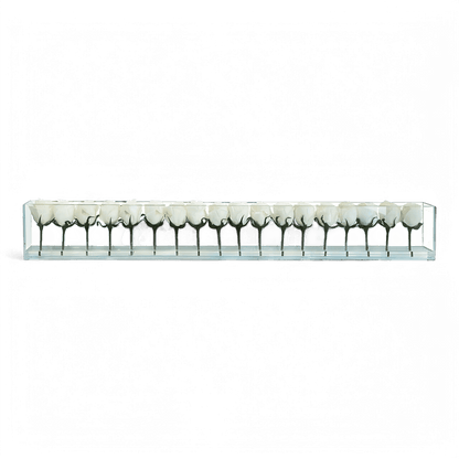 48 roses avec vase blanc