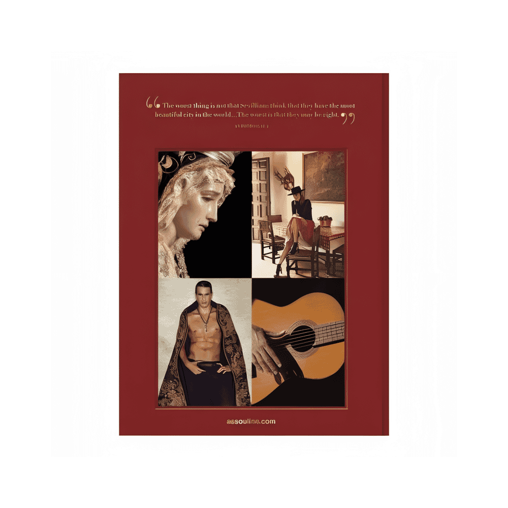 Livre d'art de Séville