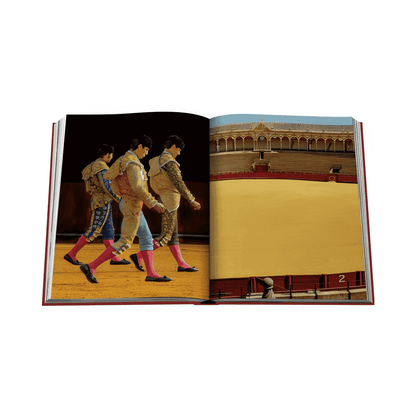 Livre d'art de Séville