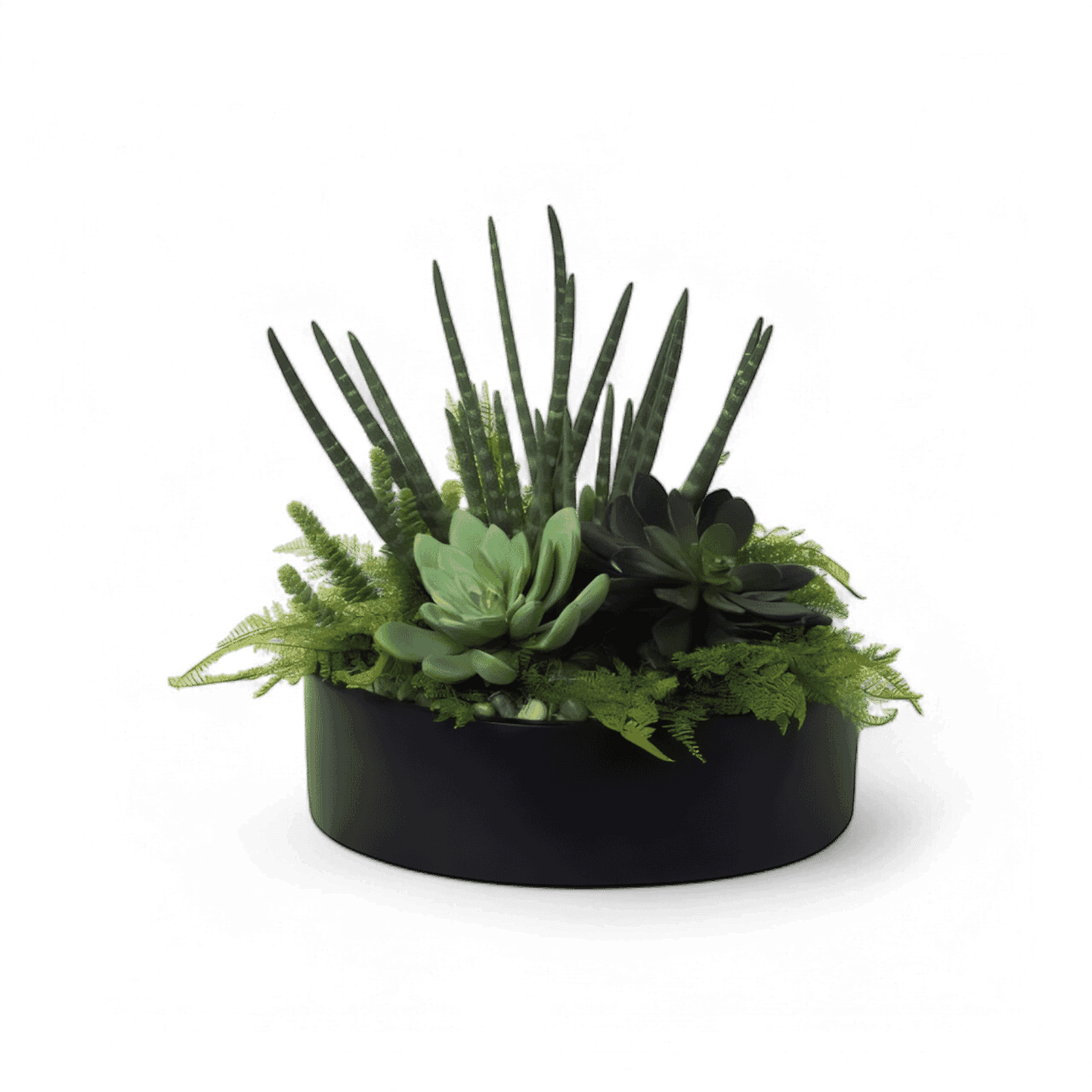 19 Arrangement de jungle urbaine