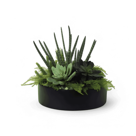 19 Arrangement de jungle urbaine